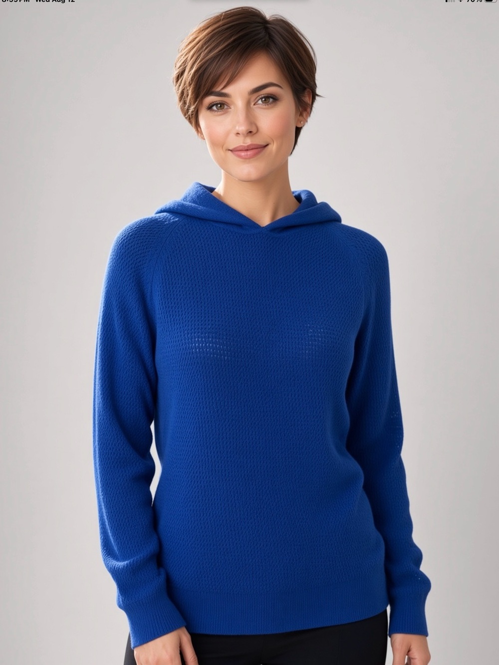 Kokun cashmere Blue Hooded sweater